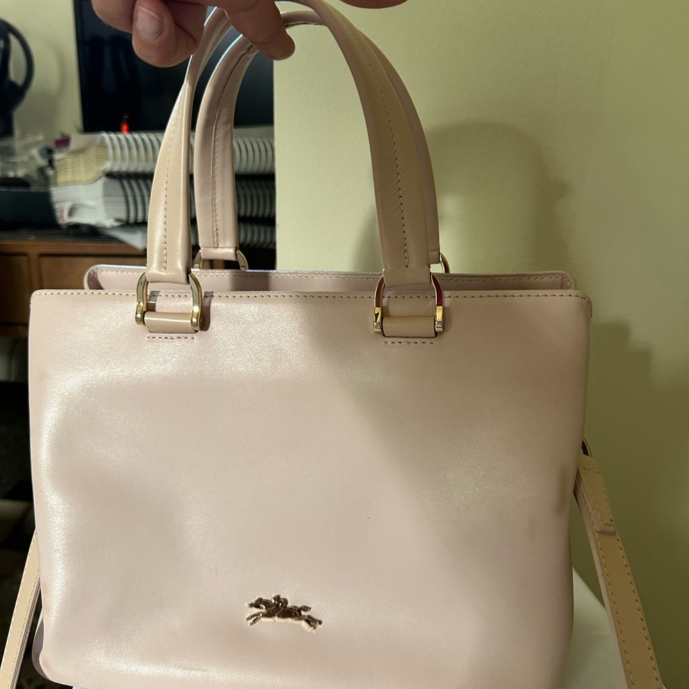 Longchamp Light Pink Satchel